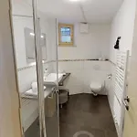 Da Zillertaler Und Geigerin Apartment *