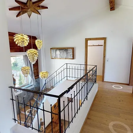 Da Zillertaler Und Geigerin *