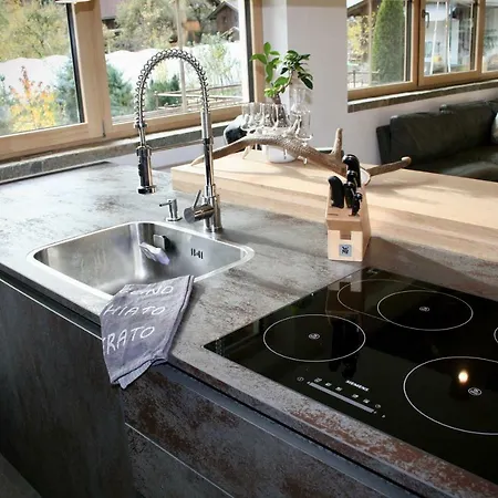 Da Zillertaler Und Geigerin *