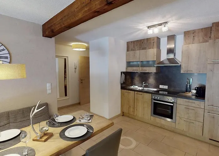 齐勒与小提琴公寓 * 迈尔霍芬