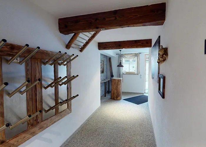 齐勒与小提琴公寓 *