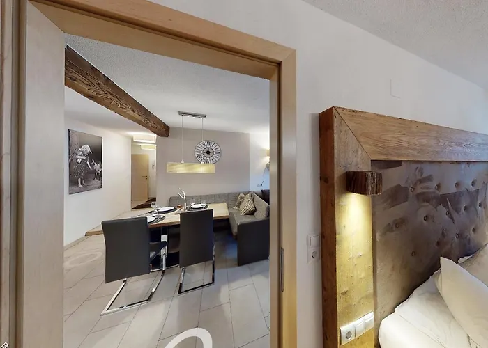 齐勒与小提琴公寓 *