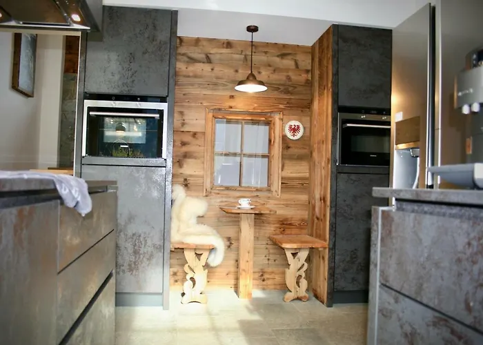 齐勒与小提琴公寓 *