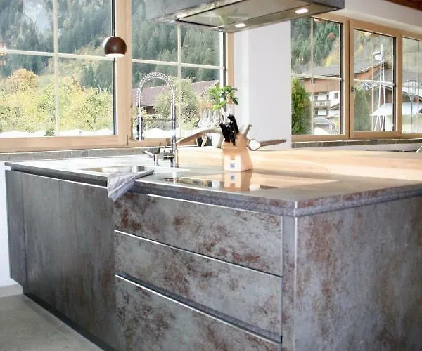 齐勒与小提琴公寓 *