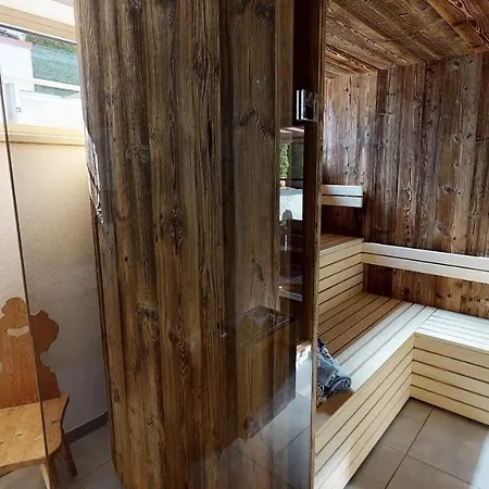 Apartment Da Zillertaler Und Geigerin Mayrhofen